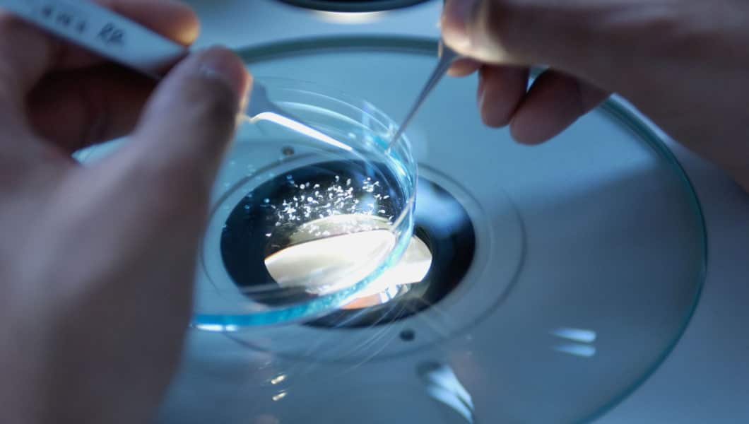 credito d'imposta ricerca sviluppo 2023